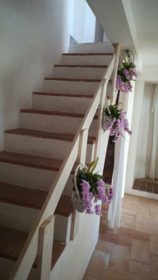 מוראברה B&B Domu Incanto Sa Domu Sarrabesa מראה חיצוני תמונה